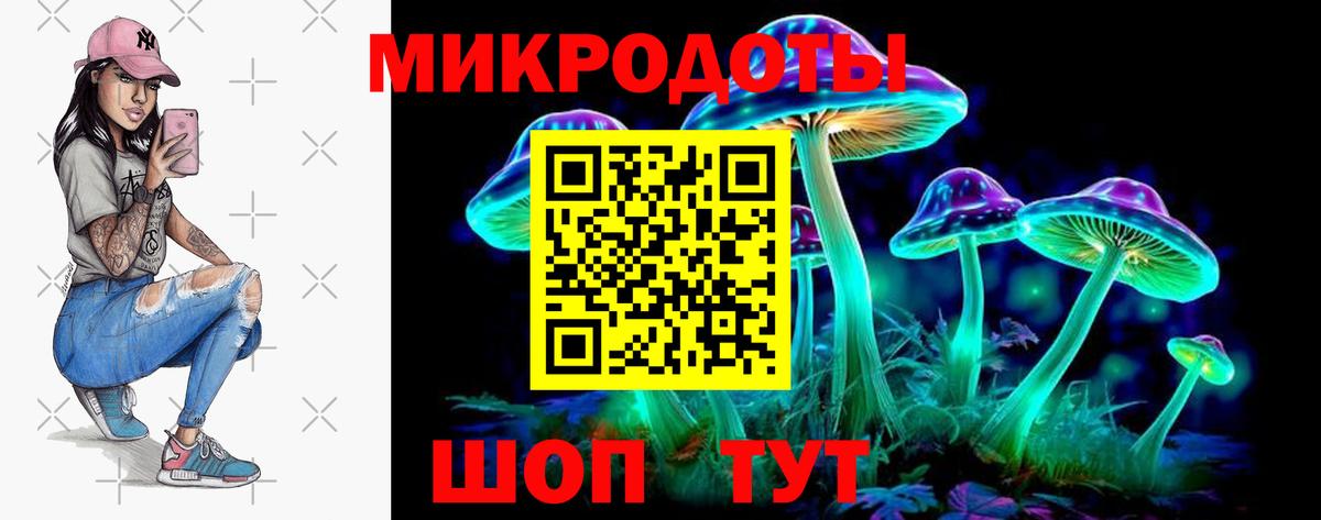 Псилоцибиновые грибы Psilocybine cubensis Ялуторовск